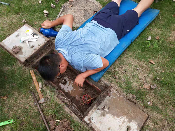 QQ图片20190802101556.png